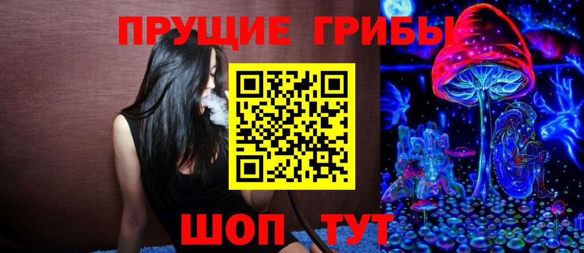 Галлюциногенные грибы Psilocybine cubensis Великие Луки