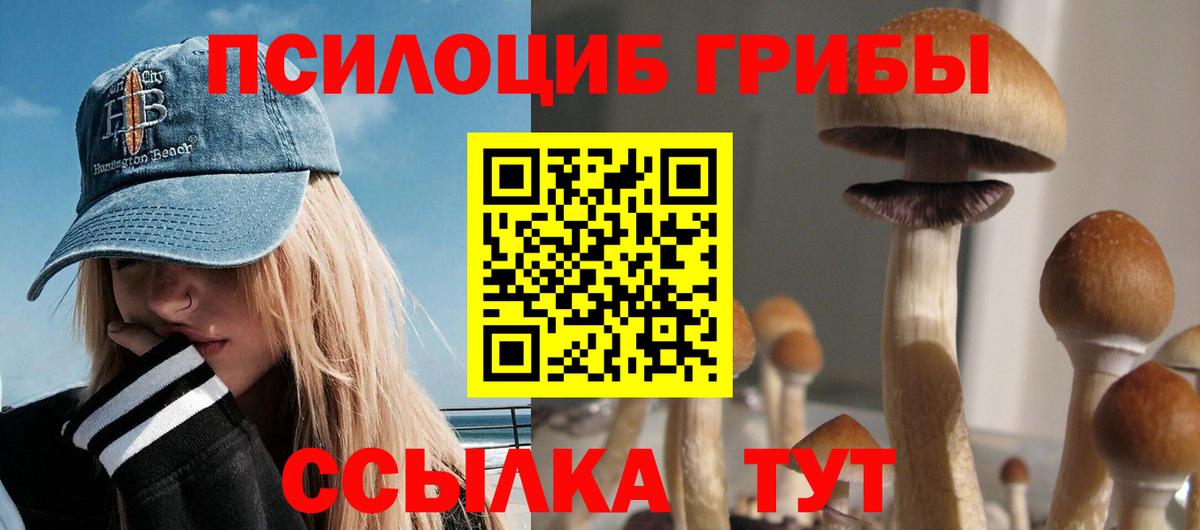 Галлюциногенные грибы Cubensis  Псилоцибиновые грибы GOLDEN TEACHER  Великие Луки  Вход с VPN 